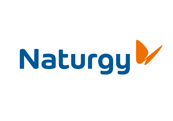 Naturgy logo